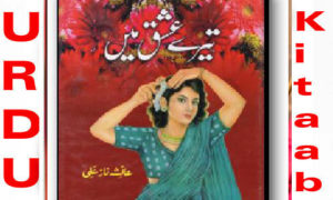 Read more about the article Tere Ishq Mein By Ayesha Naz Ali Complete Novel