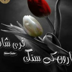 Baharon Ke Sang By Fari Shah Complete Novel