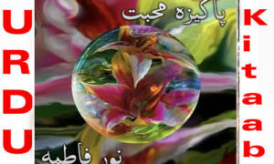 Read more about the article Pakiza Mohabbat By Noor Fatima Complete Novel