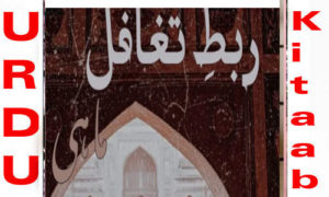 Read more about the article Rabt e Taghaful by Mahi Part 2 Complete Novel