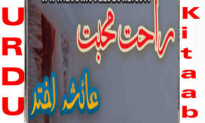 Read more about the article Rahat E Zindagi By Ayesha Akhtar Complete Novel
