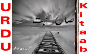 Read more about the article Saleh Mohabbat By Kashmala Arshad Complete Novel
