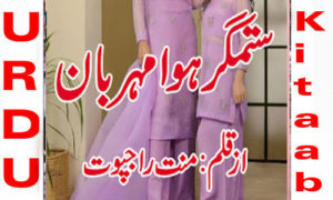 Read more about the article Sitamgar Hua Mehrban By Mannat Rajpoot Complete Novel