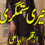 Teri Sitamgari By Abeeha Ali Complete Novel