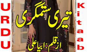 Read more about the article Teri Sitamgari By Abeeha Ali Complete Novel