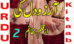 Read more about the article Arzoo Dil Ki By Khanam Season 2 Complete Novel