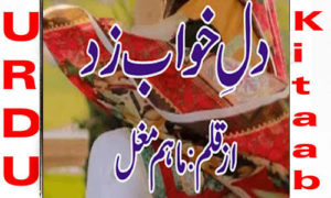 Read more about the article Dil E Khwab Zad By Maham Mughal Complete Novel