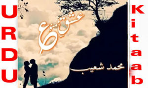 Read more about the article Ishq E Mamnoon By Gohar Shahwar Complete Novel