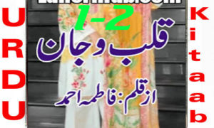 Read more about the article Qalb O Jaan By Fatima Ahmed Novel Episode 1-2
