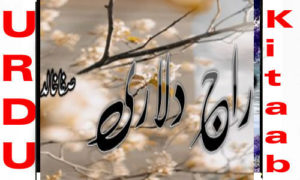Read more about the article Raaj Dulari By Safa Khalid Complete Novel