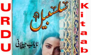 Read more about the article Salsabeel By Nayab Jilani Complete Novel
