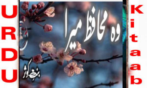 Read more about the article Wo Muhafiz Mera By Bint E Kausar Complete Novel