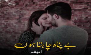 Read more about the article Bepanah Chahta Hon By Aneeqa Romantic Novel