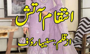 Read more about the article Inteqam E Aatish By Suneha Rauf Complete Novel