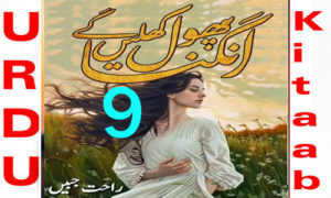 Read more about the article Angna Phool Khilen Gay By Rahat Jabeen Episode 9 Download
