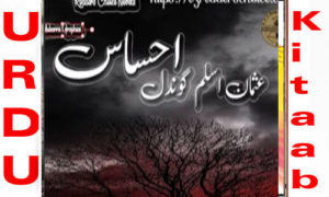 Read more about the article Ehsas By Usman Aslam Gondal Complete Novel
