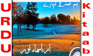 Read more about the article Hum Sadqay Tumhare By Asma Noor Complete Novel