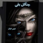 Jungli Billi By Anjum Iqbal Complete Novel