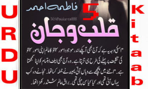 Read more about the article Qalb O Jaan By Fatima Ahmed Novel Episode 5