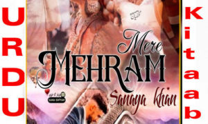 Read more about the article mehram mere by sanaya khan Complete Novel