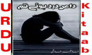 Read more about the article Daman E Dard Hue Tum By Fatima Aashi Complete Novel