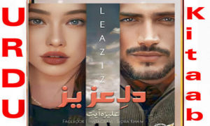 Read more about the article Dil E Aziz By Aliza Ayat Complete Novel