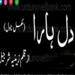 Dil Hara by Zeenia Sharjeel Complete Novel