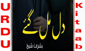 Read more about the article Dil Mil Gaye By Bushra Complete Novel