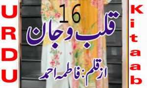 Read more about the article Qalb O Jaan By Fatima Ahmed Novel Episode 16