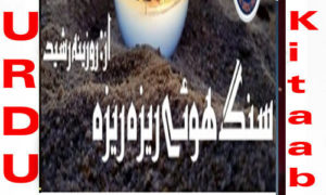 Read more about the article Sang Huy Reza Reza By Rozeena Rasheed Complete Novel