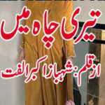 Teri Chah Mein By Shahbaz Akbar Ulfat Complete Novel
