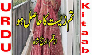 Read more about the article Tum Zeest Ka Hasil Ho By Areej Shah Complete Novel