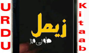 Read more about the article Zimal Romantic Novel By Tooba Mir Complete Novel