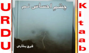 Read more about the article Chashm E Ehsas E Num By Farah Bukhari Complete Novel