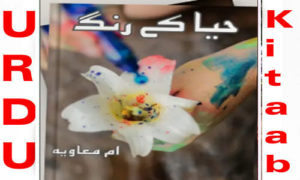 Read more about the article Haya Ke Rang by Umme Muawiya Complete Novel