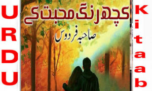 Read more about the article Kuch Rang Mohabbat Ke By Saheba Firdous Novel Episode 3 to 11