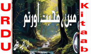 Read more about the article Main Mohabbat Aur Tum By Anisa Batool Complete Novel