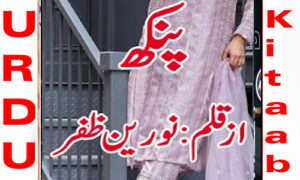 Read more about the article Pankh By Noreen Zafar Complete Novel