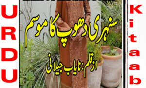 Read more about the article Sunehri Dhoop Ka Mausam By Nayab Jilani Complete Novel