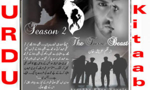 Read more about the article The Toxic Beast by Areesha Khan Season 2 Complete novel