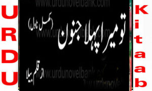 Read more about the article Tu Mera Pehla Junoon by Bella Complete Novel