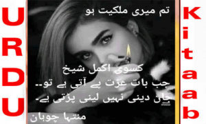 Read more about the article Tum Meri Malkit Ho by Muntaha chouhan writes Complete Novel