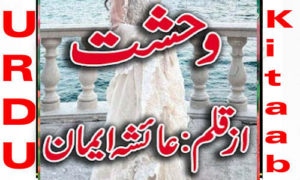 Read more about the article Wehshat By Ayesha Emaan Complete Novel