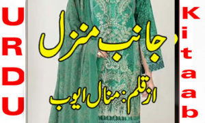 Read more about the article Janib E Manzil By Minal Ayub Complete Novel