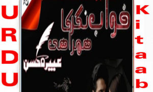 Read more about the article Khwab Nagar Ka Humrahi by Abeera Hasan Complete Novel
