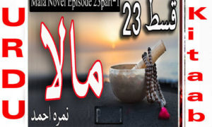 Read more about the article Mala by Nimra Ahmed Episode 23 Free Download