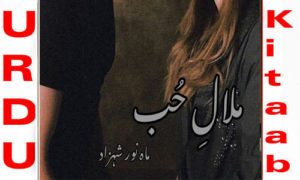 Read more about the article Malal e hub Mahnoor Shehzad Complete Novel