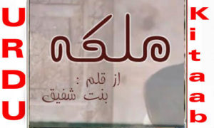 Read more about the article Malika By Bint E Shafiq Complete Novel