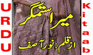 Read more about the article Mera Sitamgar by Noor Asif Complete Novel