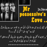 Mr Possessive's Love By Dia Zahra Complete Novel